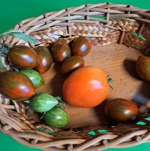 Meet your Posher, Maryellen